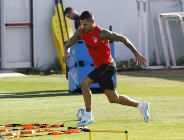 Vitolo. 