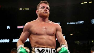 Pese a que Canelo &Aacute;lvarez es considerado el mejor &#039;libra por libra del momento&#039;, Julio C&eacute;sar Ch&aacute;vez piensa que el estadounidense es m&aacute;s completo.