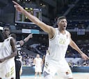 Real Madrid - Zaragoza: horario, TV y cómo ver la ACB Liga Endesa