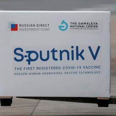 Vacuna coronavirus Argentina: ¿cuántas dosis recibirá Argentina ya y cuándo tardarán en ponerse?