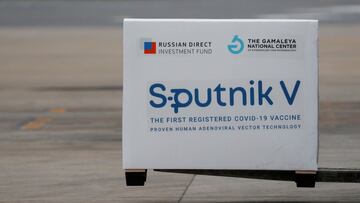 FILE PHOTO: A shipment of doses of the Sputnik V (Gam-COVID-Vac) vaccine against the coronavirus disease (COVID-19) is seen after arriving at Ezeiza International Airport, in Buenos Aires, Argentina January 28, 2021. REUTERS/Agustin Marcarian/File Photo