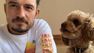 Orlando Bloom da por perdido a su perro y se tatúa su nombre en el pecho