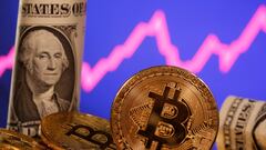 Investors cautiously returning to cryptocurrency