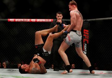 Volkov noqueó a Werdum en Londres y reclama el título