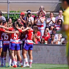 AFE medió con el Granada, que subsanó el pagó de inmediato