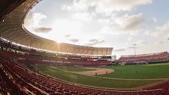 Quedan definidos los Playoffs de la Liga Arco Mexicana del Pacífico