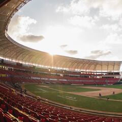 Quedan definidos los Playoffs de la Liga Arco Mexicana del Pacífico