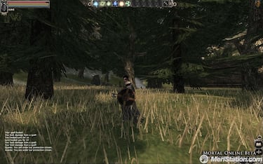 Mortal Online, Impresiones