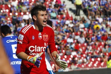 Campeón con la UC del Torneo Clausura 2005 y la Primera División en 2010. En la U, en tanto, ganó el Apertura 2012 y la Copa Chile 2012-13.