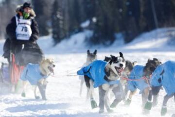 Iditarod: 1.000 km por el desierto de hielo de Alaska