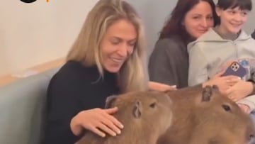 La cafetería más surrealista de Japón: “Tiene gran popularidad”