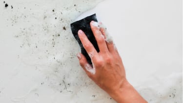 Cómo quitar el moho de la pared: este limpiador promete una protección duradera y un efecto desinfectante