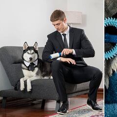 El mejor rodillo quitapelos para mascotas: adhesivo, con rotación 360 y duradero