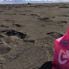 Landa deja caer en redes sociales que correrá el Giro