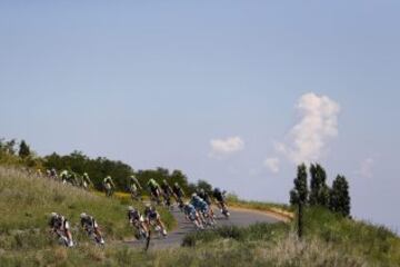 El pelotón en acción durante la decimosegunda etapa del Tour de Francia.