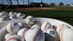 Mientras MLB y el sindicato planean iniciar con el calendario en tiempo y forma, la liga se&ntilde;al&oacute; que se revisar&aacute; la petici&oacute;n para aplazar el spring training.