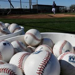Cactus League pide a MLB retrasar pretemporada por la pandemia