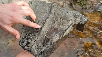 Dos pescadores se encuentran un extraño trozo de madera que termina siendo un gran tesoro: “No podemos exagerar lo increíble que es”