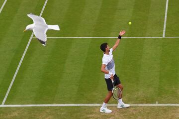 Novak Djokovic durante un partido con Daniil Medvedev en el Aegon International Eastbourne en Devonshire Park el 30 de junio de 2017