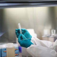 Un fármaco contra el colesterol podría convertir a la COVID-19 en un simple resfriado común