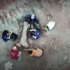 Descubren en Brasil una nueva especie de dinosaurio