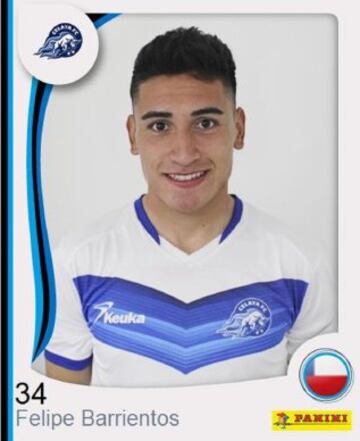Delantero de 19 años formado en Universidad Católica. En 2015 partió al Irapuato de México y hoy juega en el Celaya del ascenso azteca.