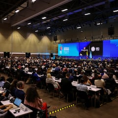 AsÍ podrán participar los estudiantes de colegios de Bogotá en la COP16: las particulares actividades