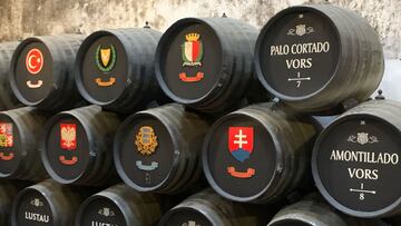 el mejor vino espa&ntilde;ol es un palo cortado