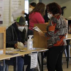 Plebiscito Nacional Chile 2020: cómo consultar con RUT mi local de votación