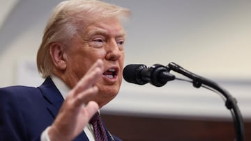 Según un correo electrónico de un fiscal adjunto de Estados Unidos, Trump viajó en el avión de Epstein al menos 8 veces.