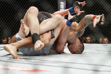 Volkov noqueó a Werdum en Londres y reclama el título