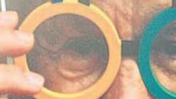 <b>2016.</b> "Lo más importante de Madrid son los pabellones del IFEMA"