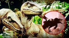 Recrean las escenas de los Velociraptores de ‘Jurassic Park’ con un aspecto mucho más realista: con plumas