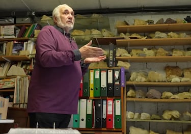 Un hombre reúne 6.000 piedras con forma de jabalí y cree que son restos de una antigua civilización: “Esto es algo especial”