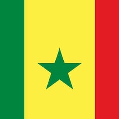 ¿Por qué las banderas de varios países africanos comparten los colores verde, amarillo y rojo?