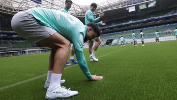 La grama del estadio de Palmeiras se renueva