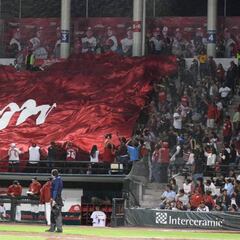 Diablos Rojos, un estilo de vida para las voces oficiales