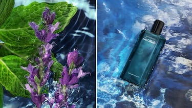 El fresco perfume Cool Water de Davidoff, favorito de los hombres, est por menos de 20 euros