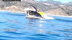 A video from 2020 has gone viral again of two women engulfed in a whale’s mouth after kayaking in their feeding zone in San Luis Obispo Bay in California.