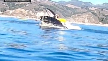 A video from 2020 has gone viral again of two women engulfed in a whale’s mouth after kayaking in their feeding zone in San Luis Obispo Bay in California.