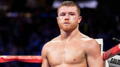 Canelo Alvarez en su pelea contra Rocky Fielding, en Madison Square Garden. New York, NY. Diciembre 15, 2018.