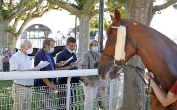 Gran ambiente en las gradas del Hipódromo de Madrid en la vuelta de las carreras de caballos tras la crisis del Covid-19.