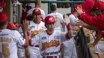 Diablos Rojos, Liga Mexicana de B&eacute;isbol