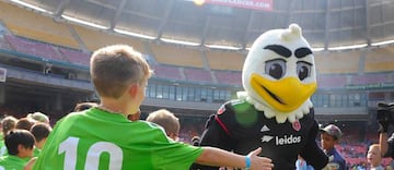 Talon, mascota del DC United.