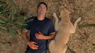 ¿Habrá regreso de Perdidos?