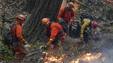 El parque Estatal Big Basin ha sufrido da&ntilde;os irreparables en sus instalaciones con la p&eacute;rdida de hist&oacute;ricos edificios encontrados en su interior.