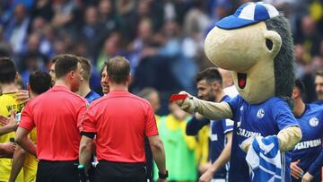 Piden sancionar a la mascota del Schalke por molestar al árbitro