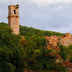 El camino de humanizar al mundo rural y no a los animales
