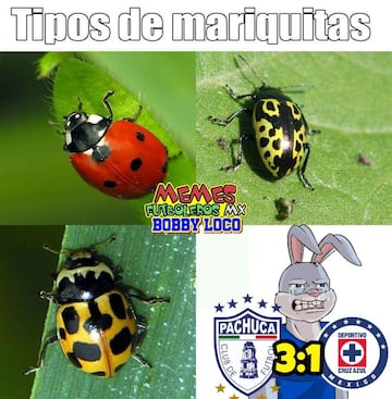 Los memes de la derrota de Cruz Azul ante Pachuca