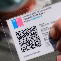 Pase de Movilidad: cómo descargarlo sin Clave Única